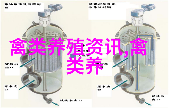 肉鸽养殖又到好时候