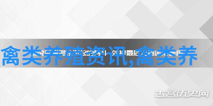 鹌鹑养殖创造大效益