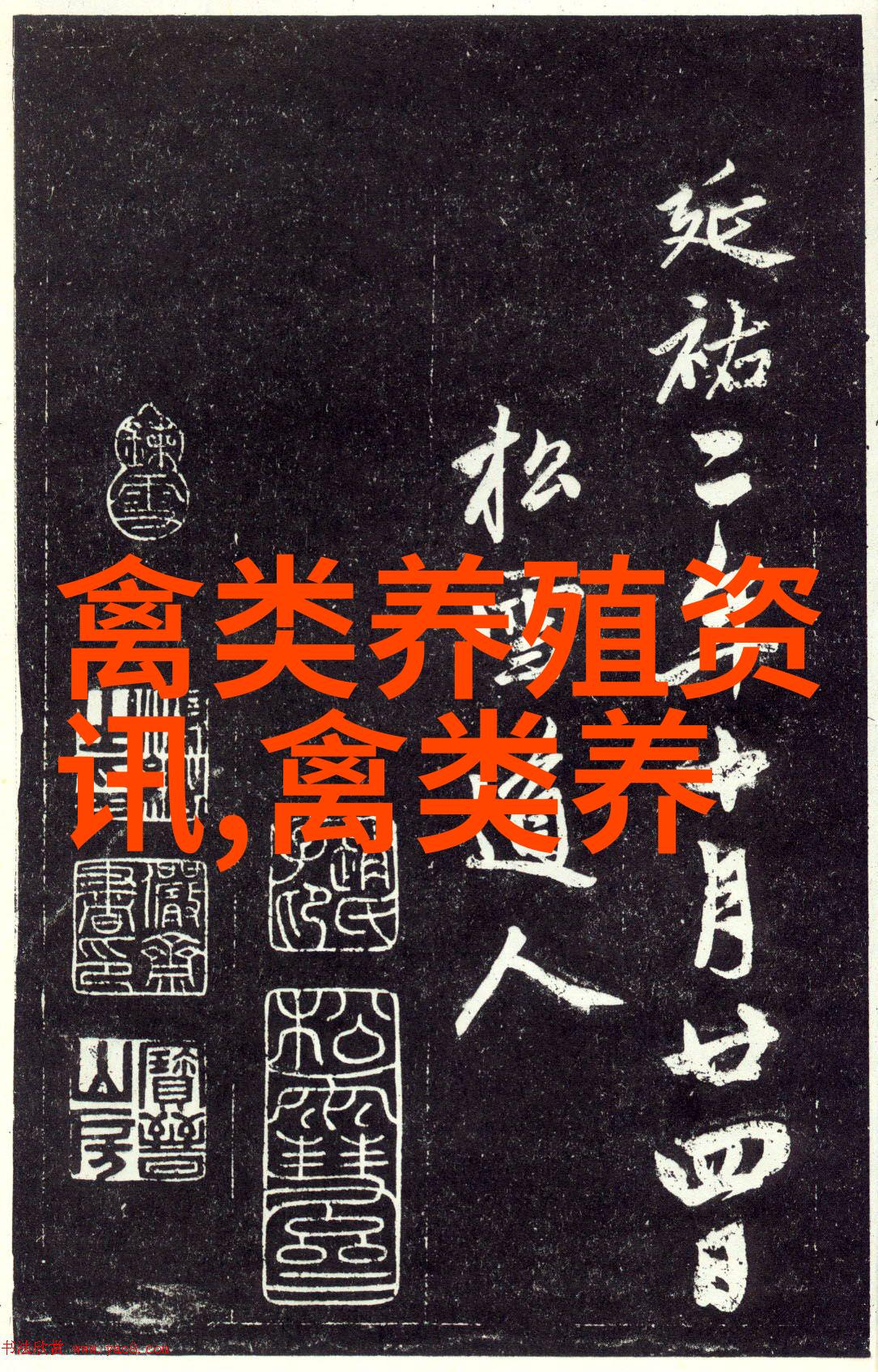 铜陵农民养鹅促增收